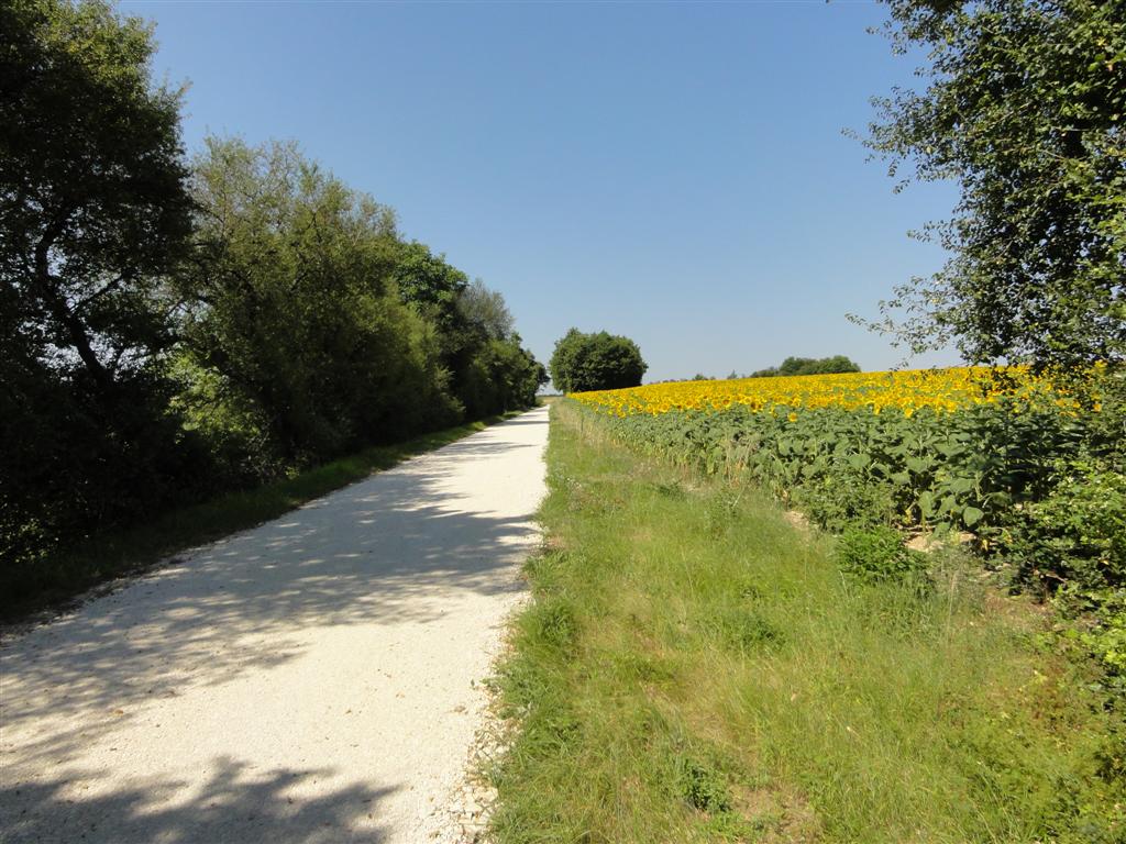 Quelles sont les plus belles routes à emprunter en Charente Maritime ?